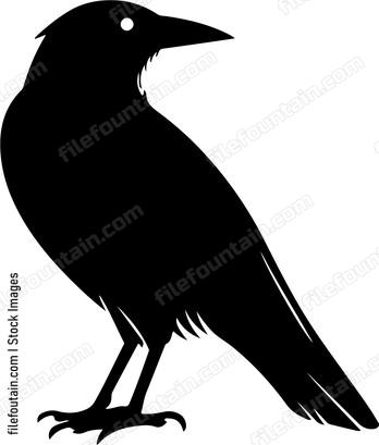 Crow