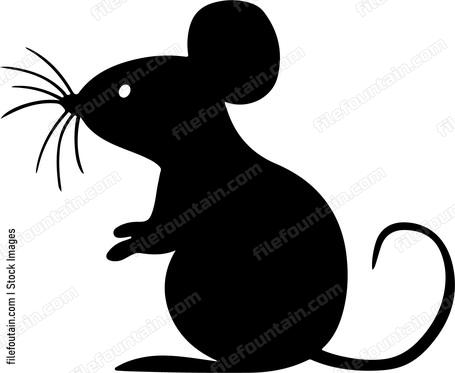 Curious Mouse