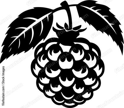 Custard Apple