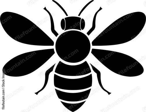 Cute Bee