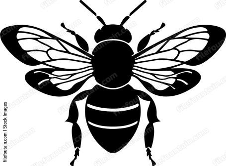 Cute Bee