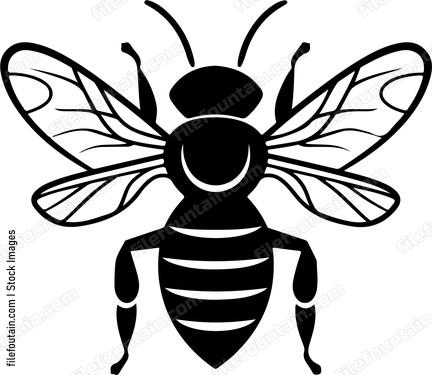 Cute Bee