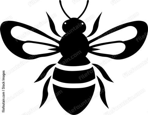 Cute Bee