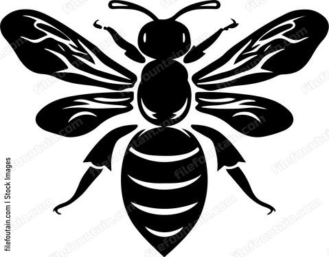 Cute Bee