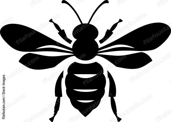 Cute Bee