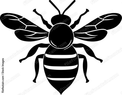Cute Bee