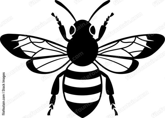 Cute Bee