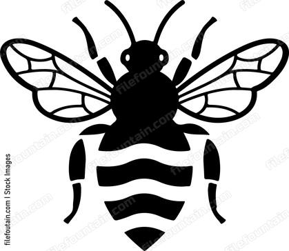Cute Bee