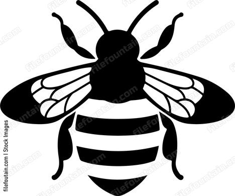 Cute Bee