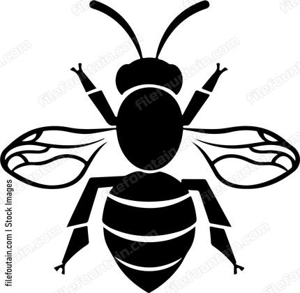 Cute Bee