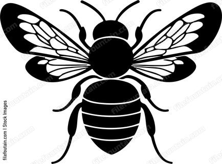 Cute Bee