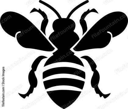 Cute Bee
