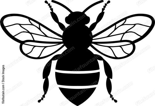 Cute Bee