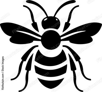 Cute Bee