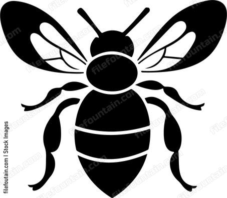 Cute Bee