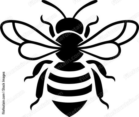 Cute Bee