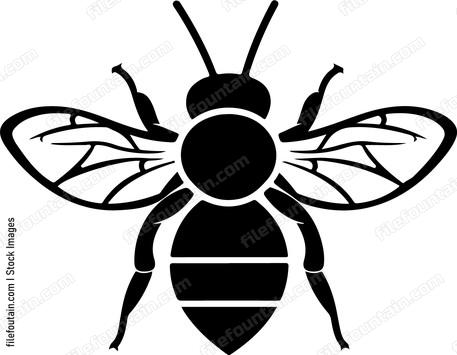 Cute Bee