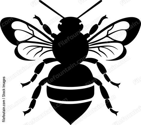 Cute Bee