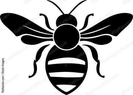Cute Bee