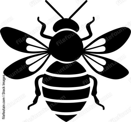 Cute Bee