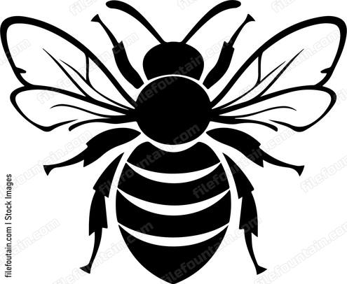 Cute Bee