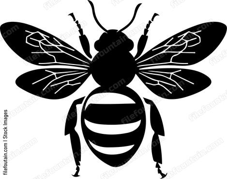 Cute Bee