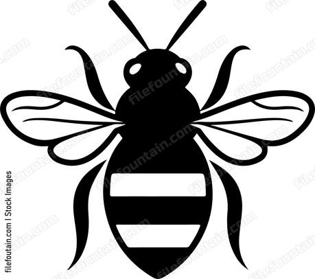 Cute Bee