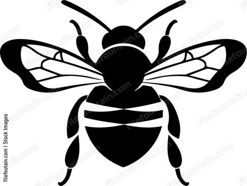 Cute Bee