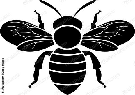 Cute Bee