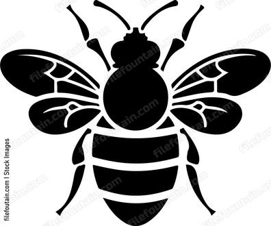 Cute Bee