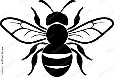 Cute Bee