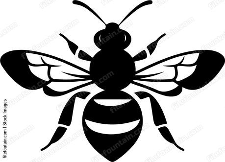 Cute Bee