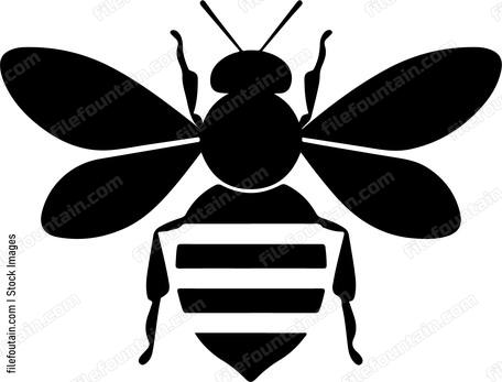 Cute Bee