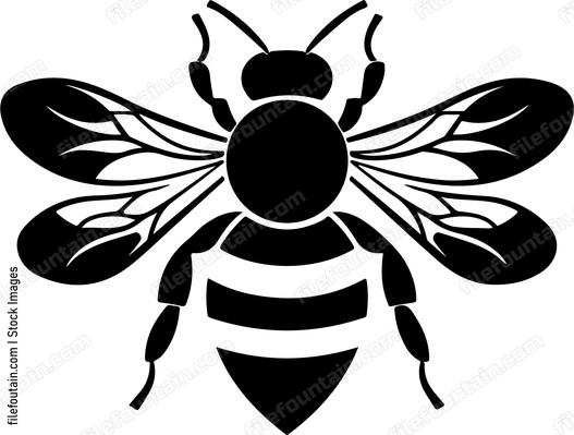 Cute Bee