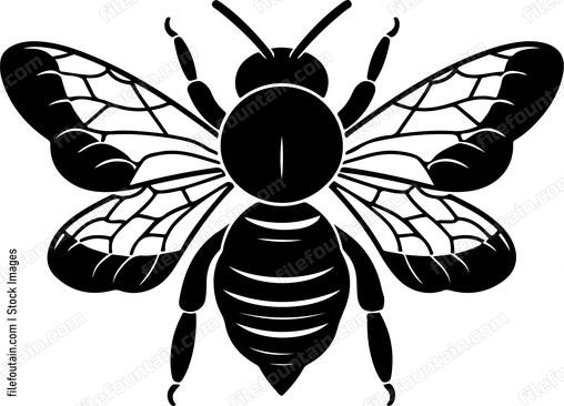 Cute Bee