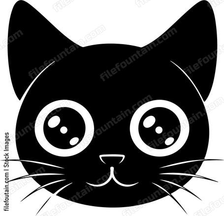 Cute Cat Big Eyes
