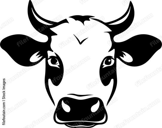 Cute Cow Head