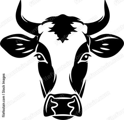 Cute Cow Head