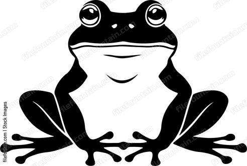 Cute Frog