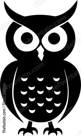Cute Owl
