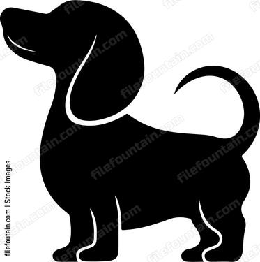 Dachshund