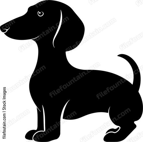 Dachshund