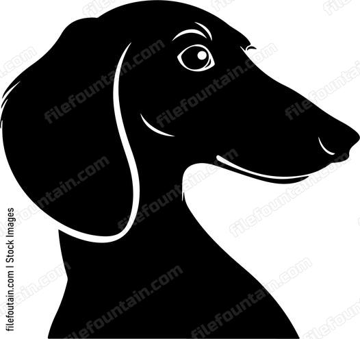 Dachshund