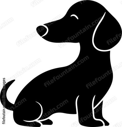 Dachshund