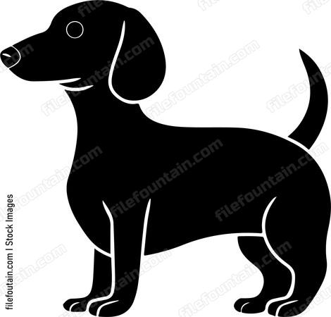 Dachshund