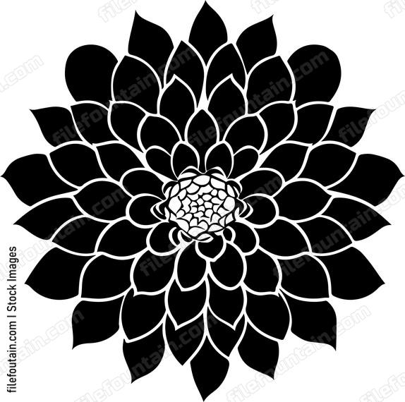 Dahlia Flower Front