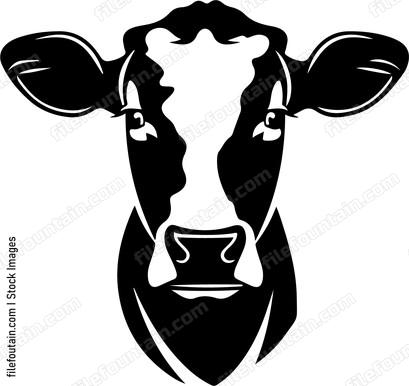 Dairy Cow