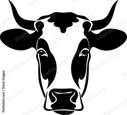 Dairy Cow Head
