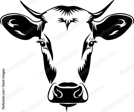 Dairy Cow Head