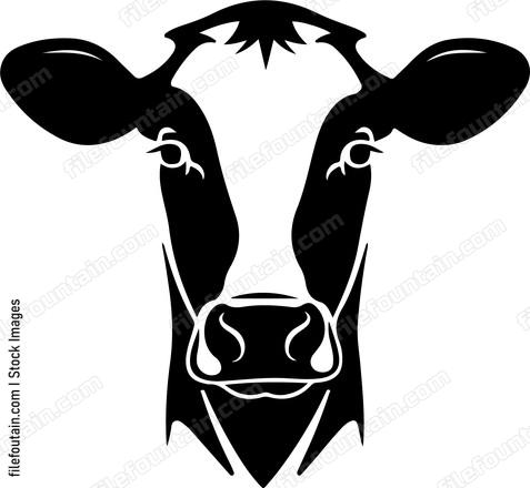Dairy Cow Head
